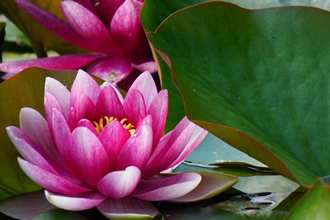 サンプルイメージ